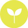 LOCO_EPICERIE_ECOLOGIQUE_ZERO_DECHET_ICONES_NATUREL