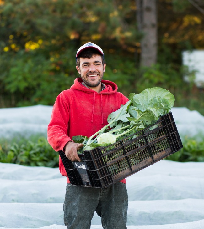 Producteur LOCO La Ferme des Arpents Roses