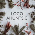 Boutique en ligne loco ahuntsic