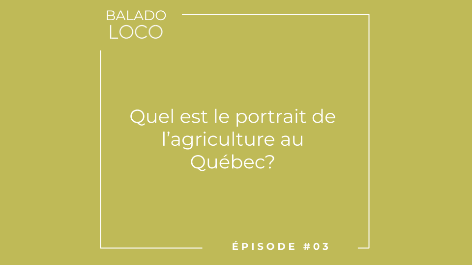 Balado LOCO - Episode 03 - Quel est le portrait de l'agriculture au Québec