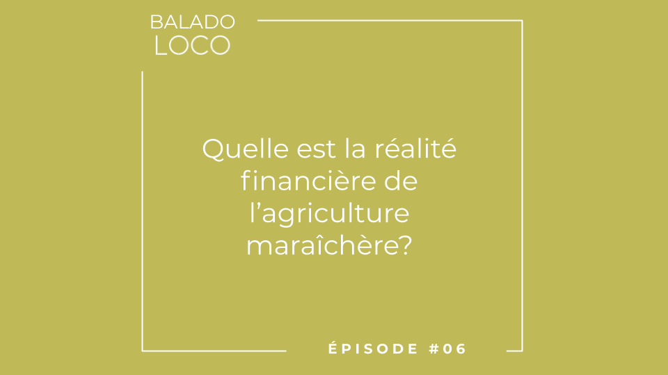 Balado LOCO - Épisode 06 - Quelle est la réalité financière de l'agriculture maraîchère