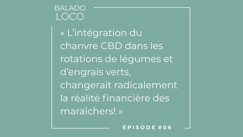 Balado LOCO - Épisode 06 - L'intégration du chanvre CBD aux rotations de légumes et d'engrais verts changerait la réalité financière des maraîchers