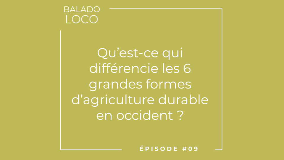 Balado LOCO - EP9 Gael Plumecocq