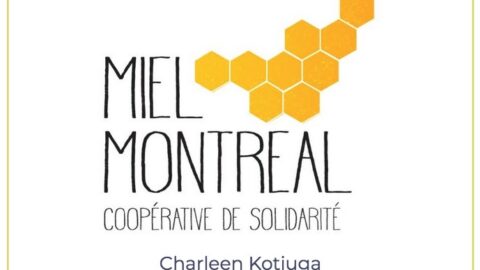 Balado LOCO S02 ÉP01 - MIEL MONTREAL coopérative de solidarité